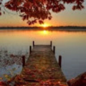 Meet your Posher, Alice